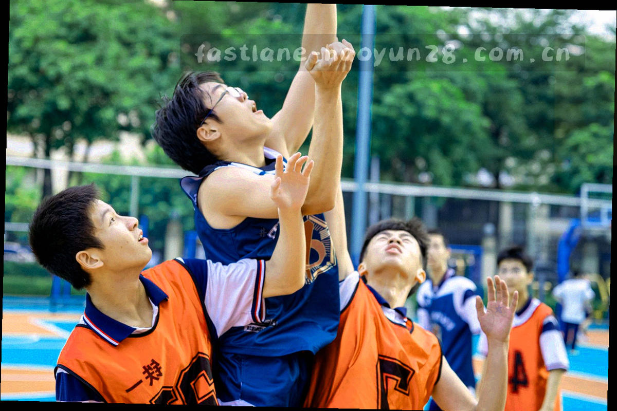 两个同心圆区域示意图，内圈代表浏览器本地保存范围，外圈代表站点可感知的访问信息范围，用青色与灰蓝两种线条区分